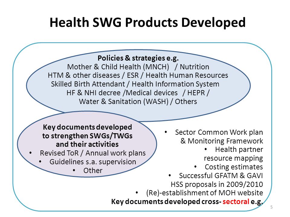 5 Health SWG Products Developed Policies & strategies e.g.
