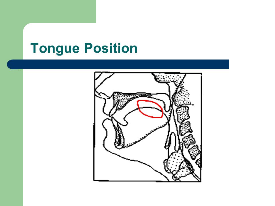 Tongue Position