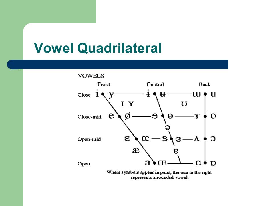 Vowel Quadrilateral