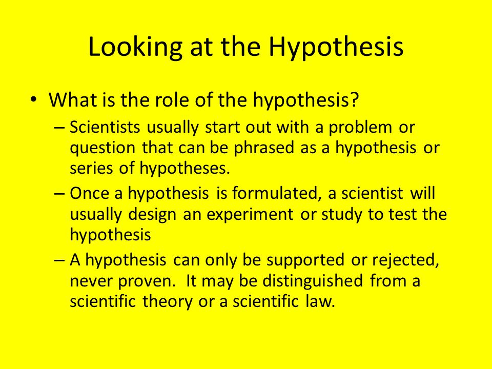 Looking at the Hypothesis What is the role of the hypothesis.