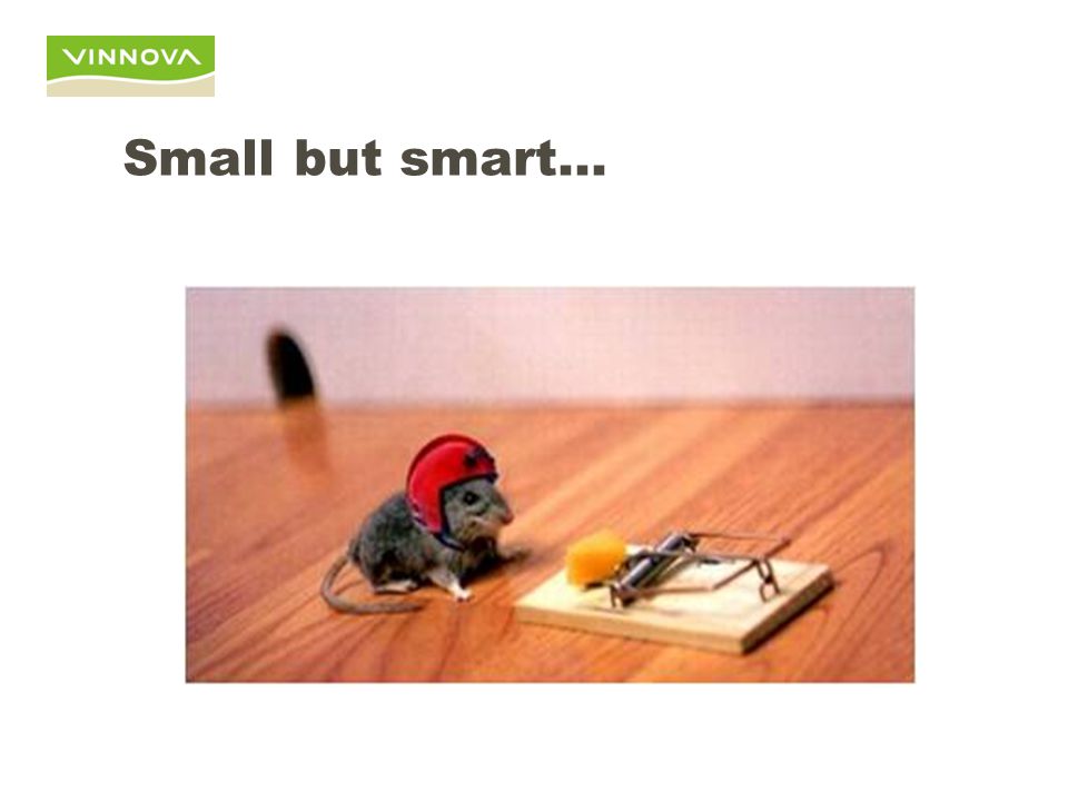 Small but smart…