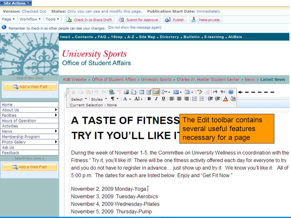 The Edit toolbar contains several useful features necessary for a page