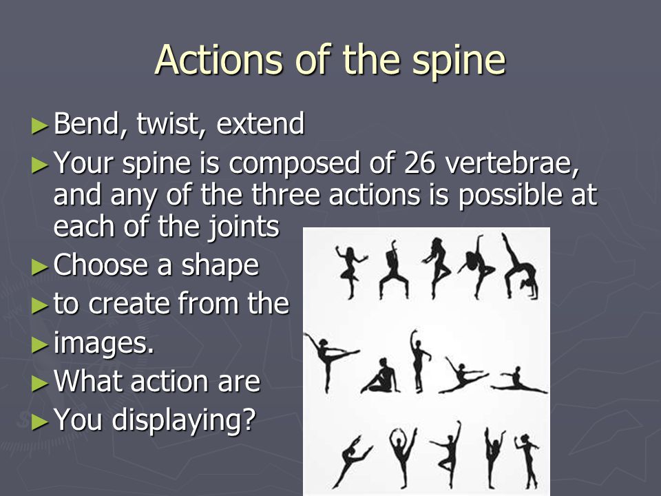 Actions of the spine ► Bend, twist, extend ► Your spine is composed of 26 vertebrae, and any of the three actions is possible at each of the joints ► Choose a shape ► to create from the ► images.
