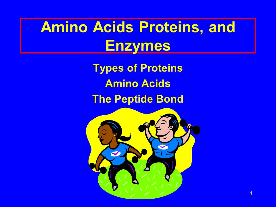1 Amino Acids Proteins, and Enzymes Types of Proteins Amino Acids The Peptide Bond