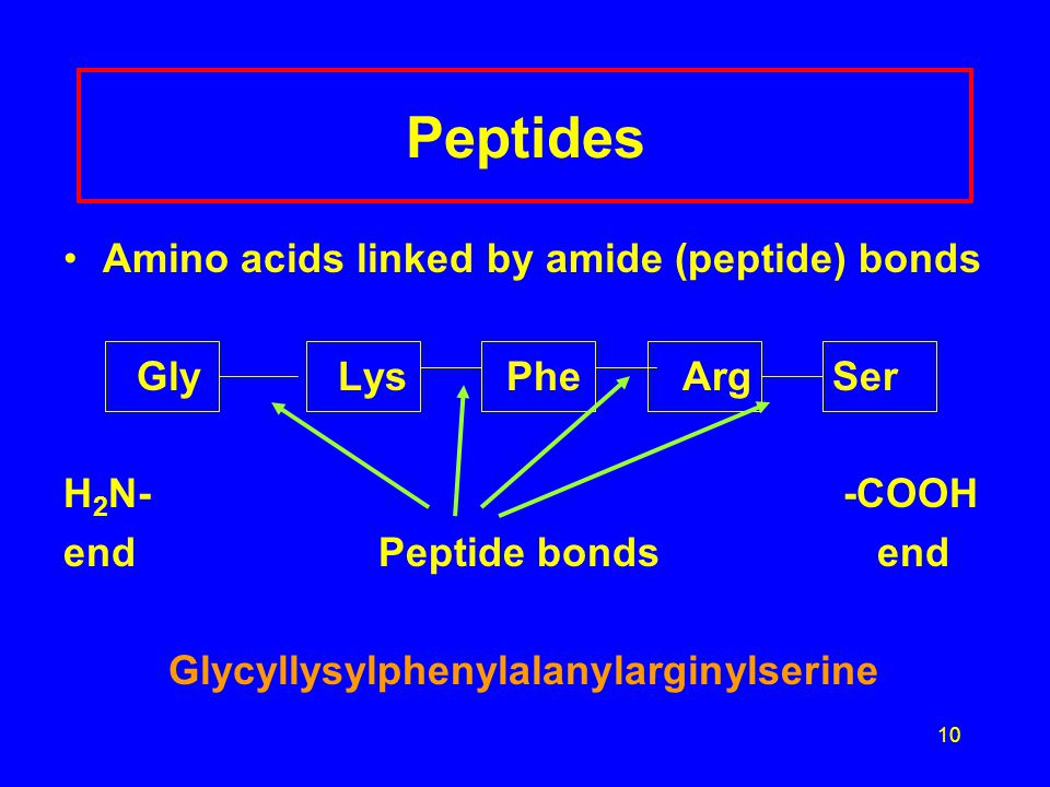 10 Peptides Amino acids linked by amide (peptide) bonds Gly Lys Phe Arg Ser H 2 N- -COOH endPeptide bonds end Glycyllysylphenylalanylarginylserine