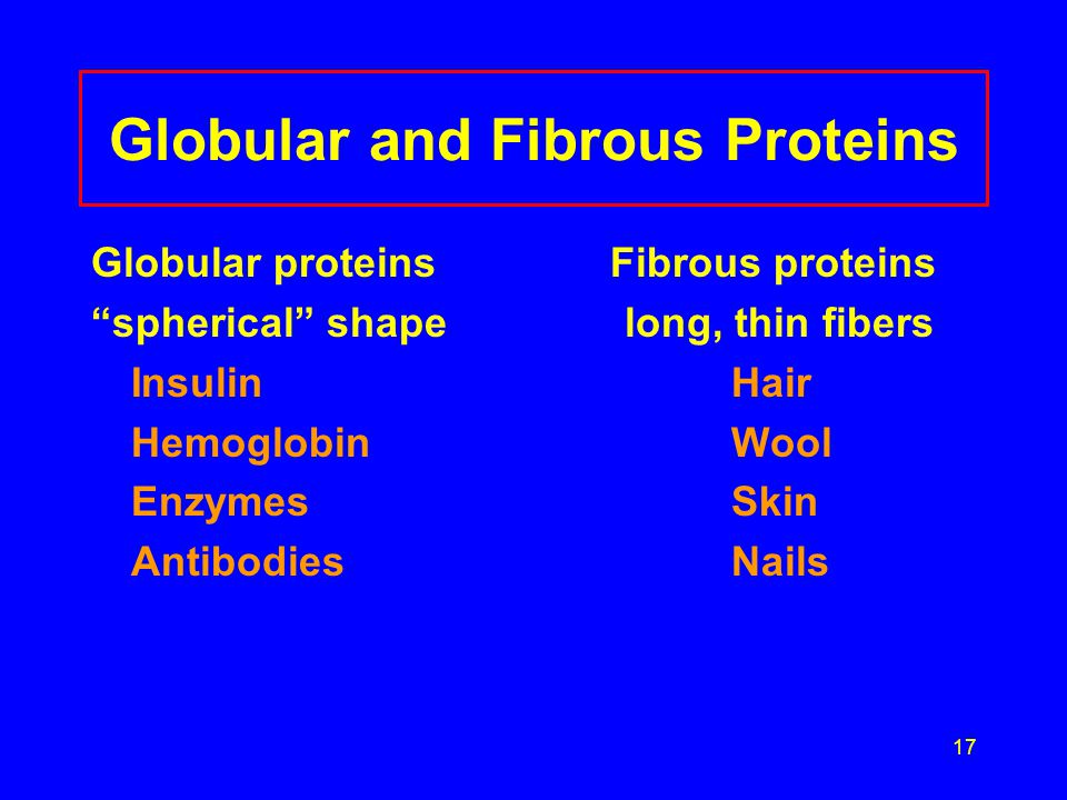 17 Globular and Fibrous Proteins Globular proteins Fibrous proteins spherical shapelong, thin fibers InsulinHair HemoglobinWool Enzymes Skin AntibodiesNails