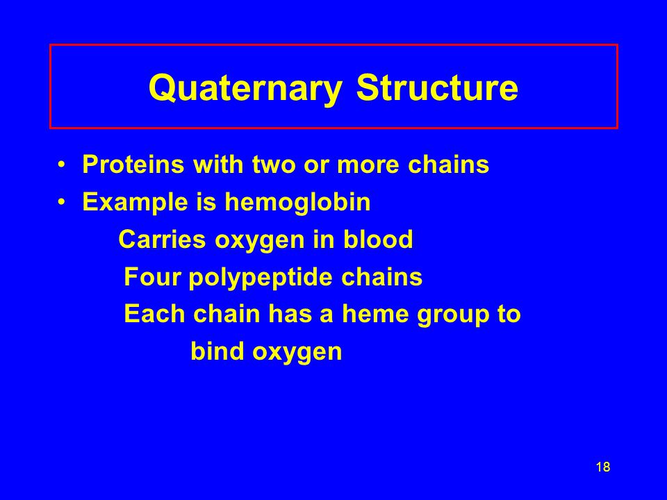 18 Quaternary Structure Proteins with two or more chains Example is hemoglobin Carries oxygen in blood Four polypeptide chains Each chain has a heme group to bind oxygen