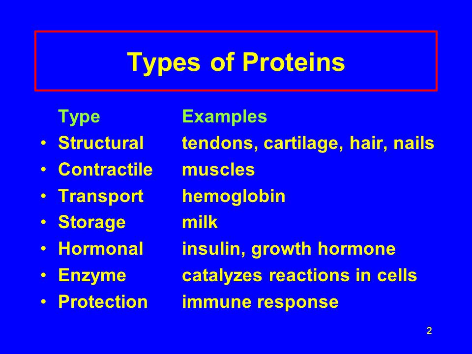 2 Types of Proteins TypeExamples Structuraltendons, cartilage, hair, nails Contractilemuscles Transporthemoglobin Storagemilk Hormonalinsulin, growth hormone Enzymecatalyzes reactions in cells Protectionimmune response