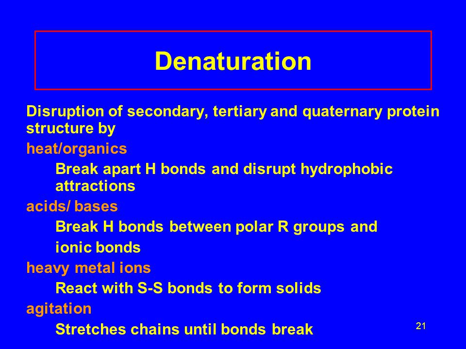 21 Denaturation Disruption of secondary, tertiary and quaternary protein structure by heat/organics Break apart H bonds and disrupt hydrophobic attractions acids/ bases Break H bonds between polar R groups and ionic bonds heavy metal ions React with S-S bonds to form solids agitation Stretches chains until bonds break