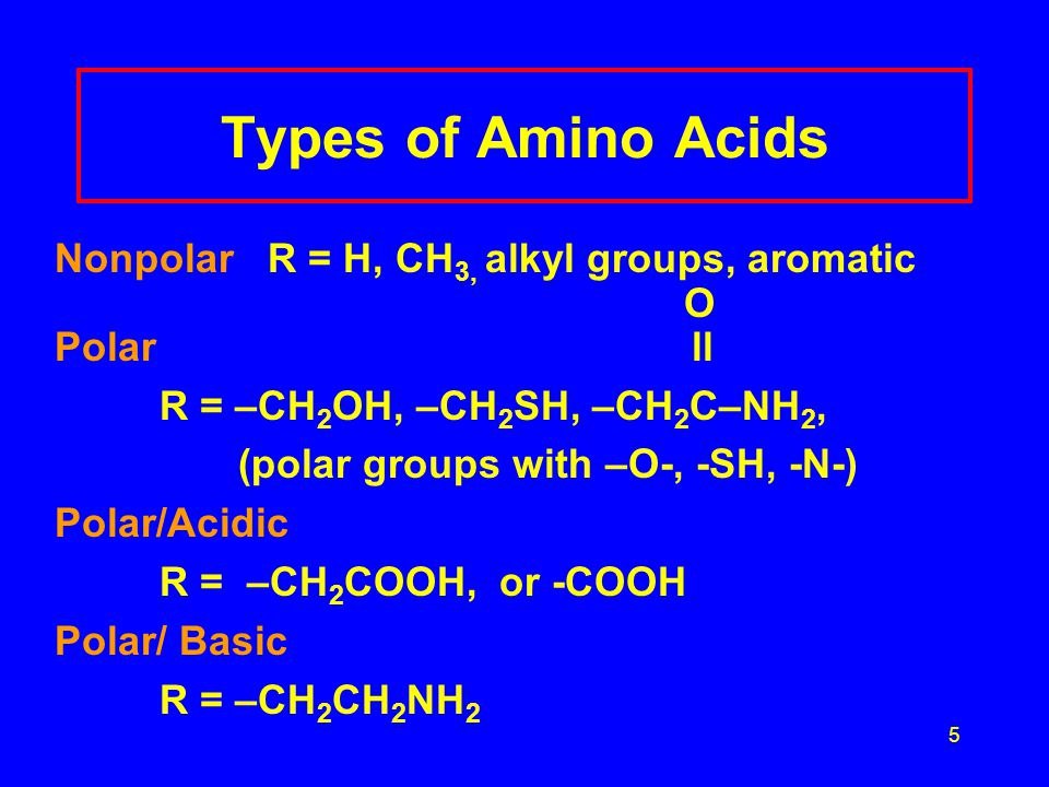 5 Types of Amino Acids Nonpolar R = H, CH 3, alkyl groups, aromatic O Polar ll R = –CH 2 OH, –CH 2 SH, –CH 2 C–NH 2, (polar groups with –O-, -SH, -N-) Polar/Acidic R = –CH 2 COOH, or -COOH Polar/ Basic R = –CH 2 CH 2 NH 2