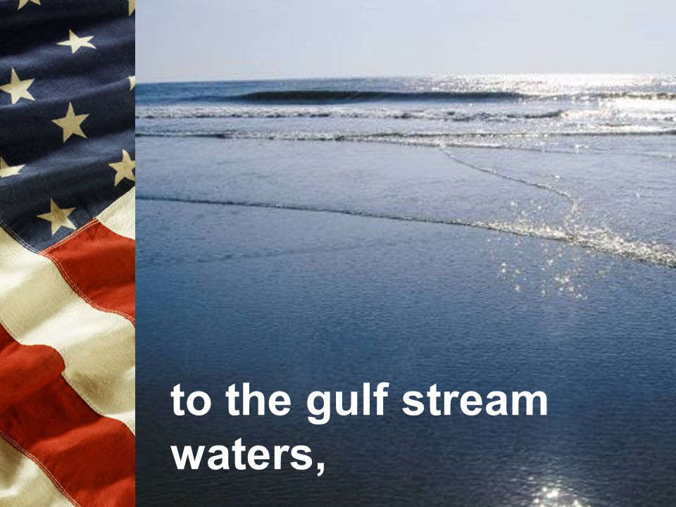 to the gulf stream waters,