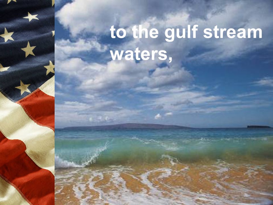 to the gulf stream waters,