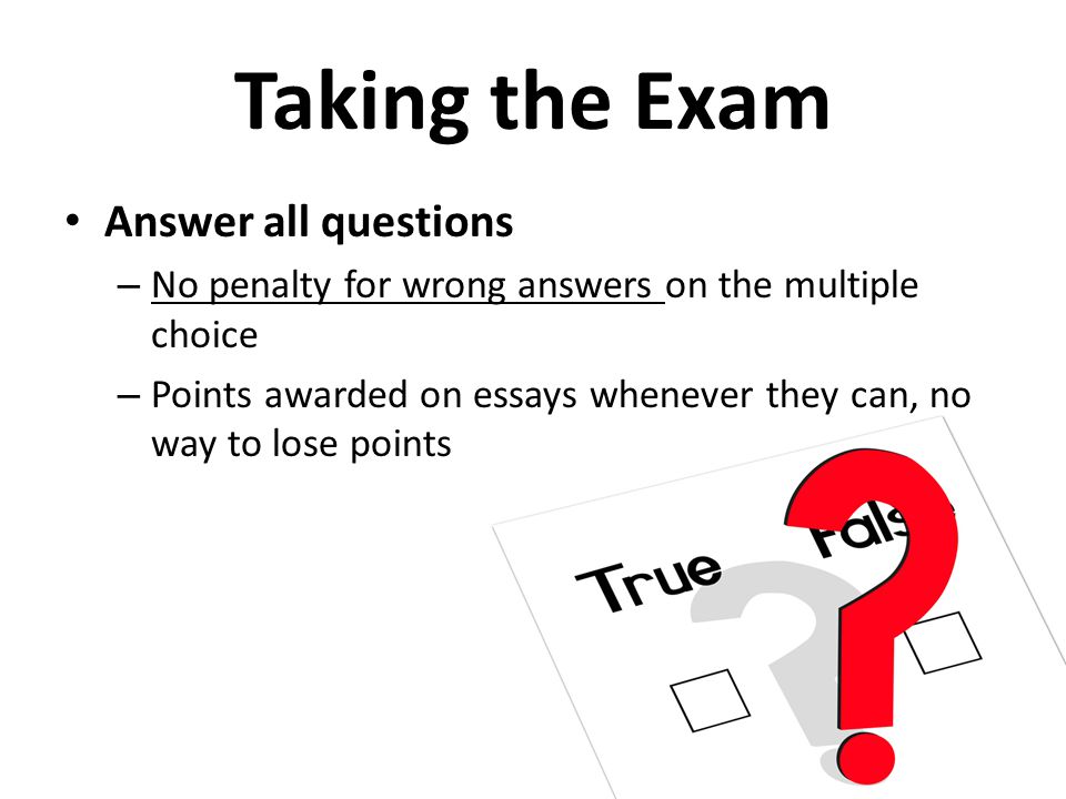 day before exam essay day before exam essay