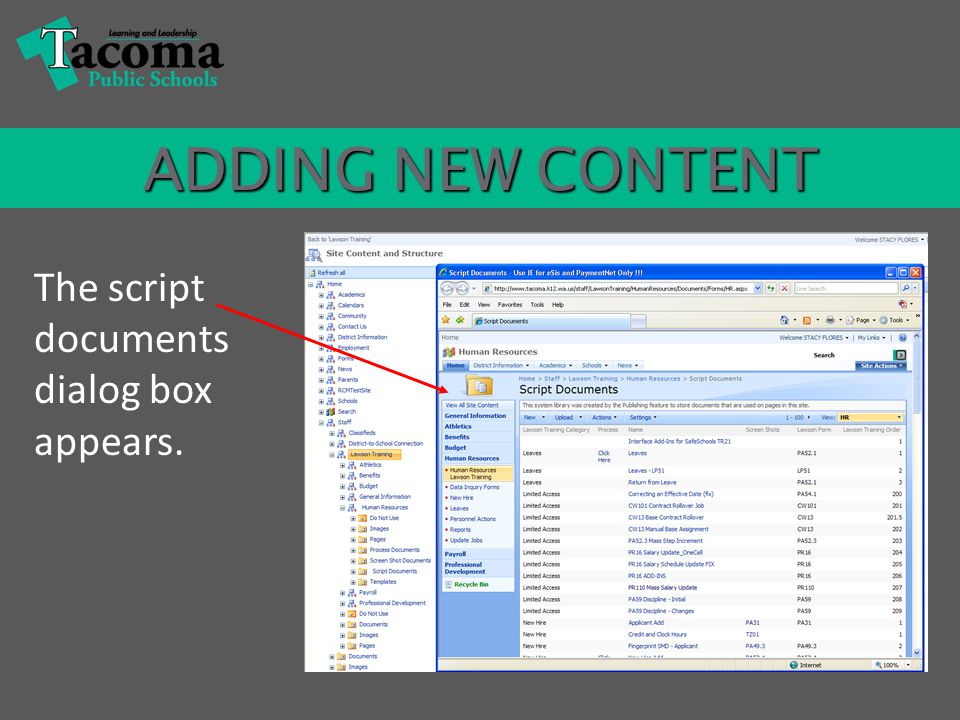 ADDING NEW CONTENT The script documents dialog box appears.