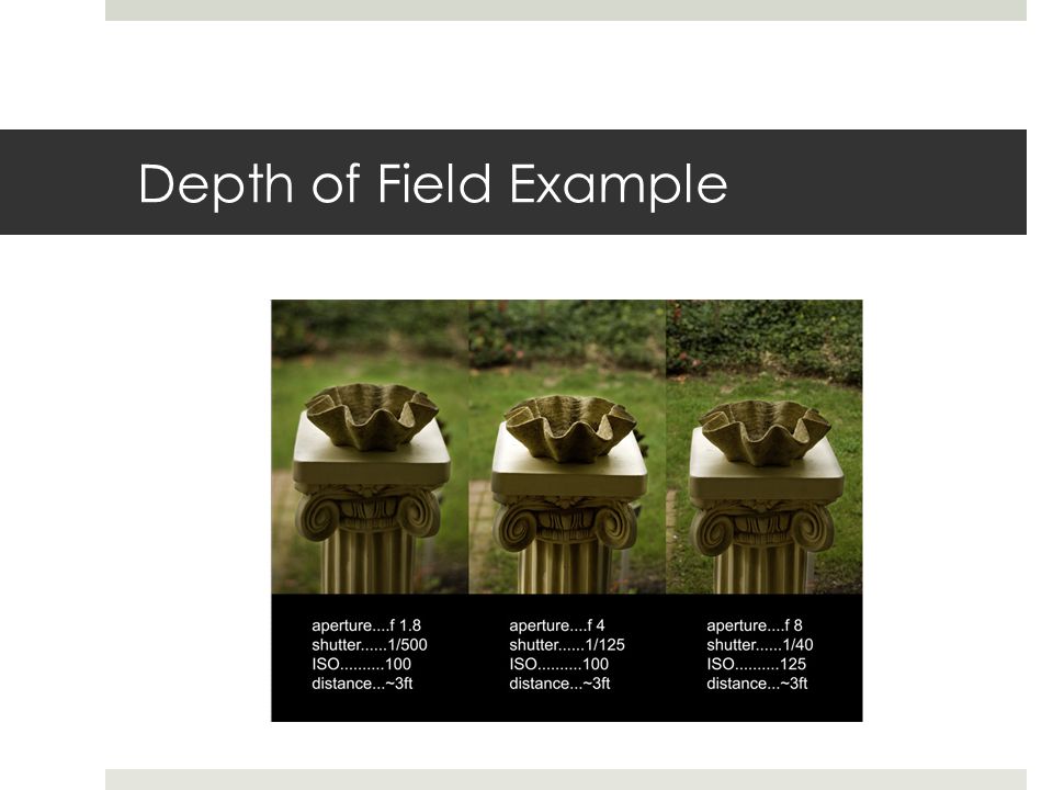 Depth of Field Example