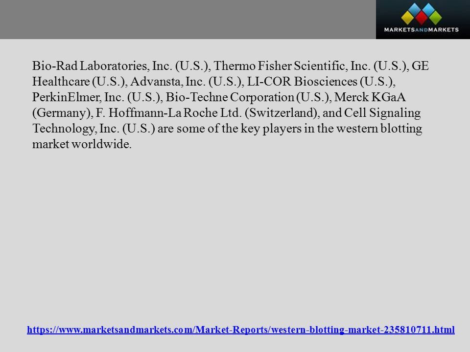 Bio-Rad Laboratories, Inc. (U.S.), Thermo Fisher Scientific, Inc.