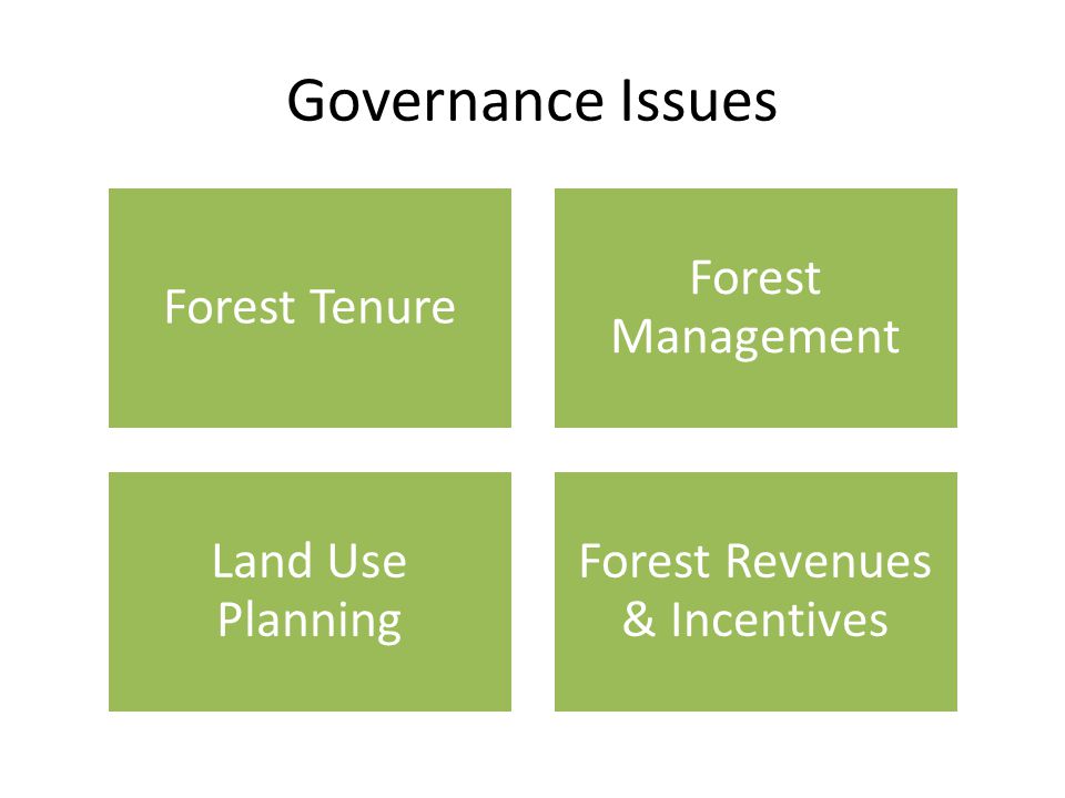 Governance Issues Forest Tenure Forest Management Land Use Planning Forest Revenues & Incentives