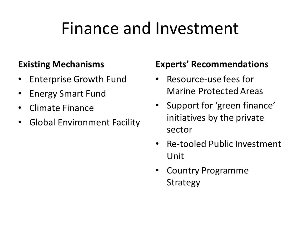 Finance and Investment Existing Mechanisms Enterprise Growth Fund Energy Smart Fund Climate Finance Global Environment Facility Experts’ Recommendations Resource-use fees for Marine Protected Areas Support for ‘green finance’ initiatives by the private sector Re-tooled Public Investment Unit Country Programme Strategy