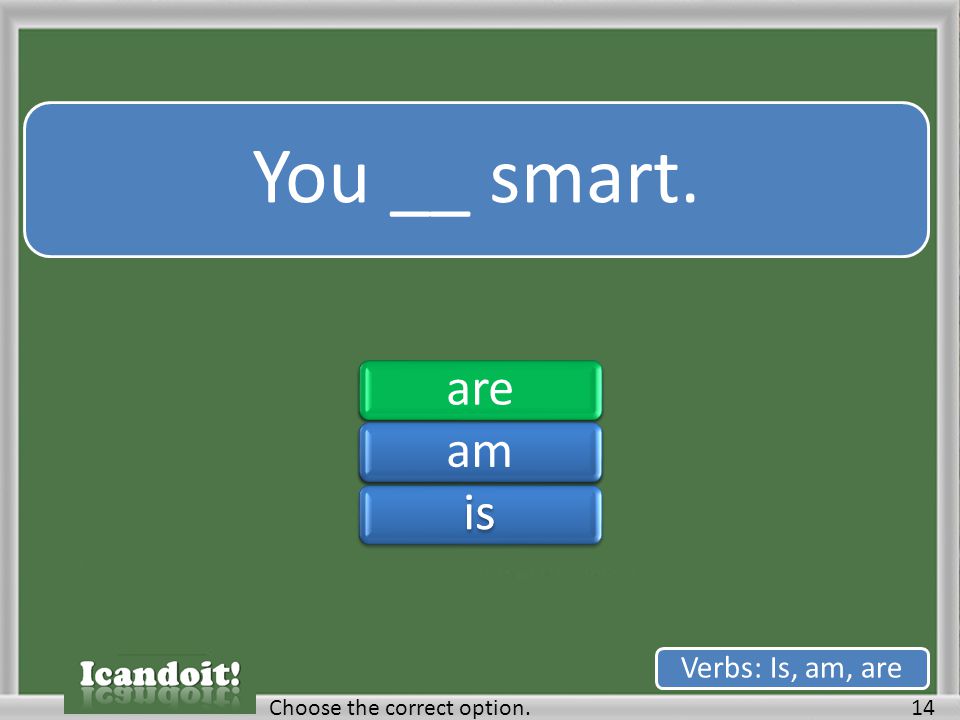 You __ smart. 14Choose the correct option. Verbs: Is, am, are areamisareamis