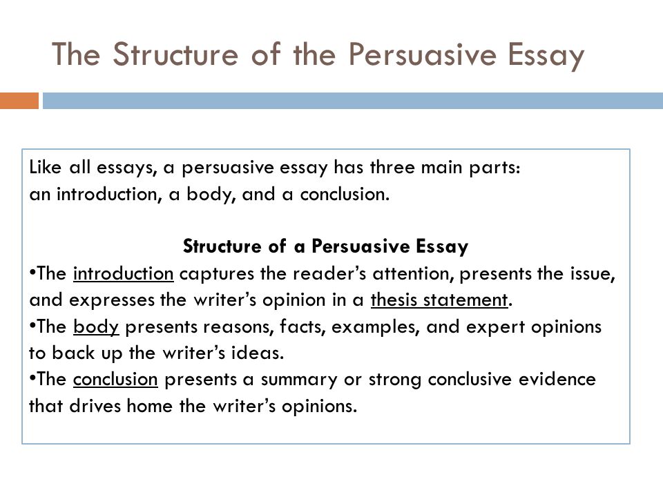 persuasive essay examples for college students