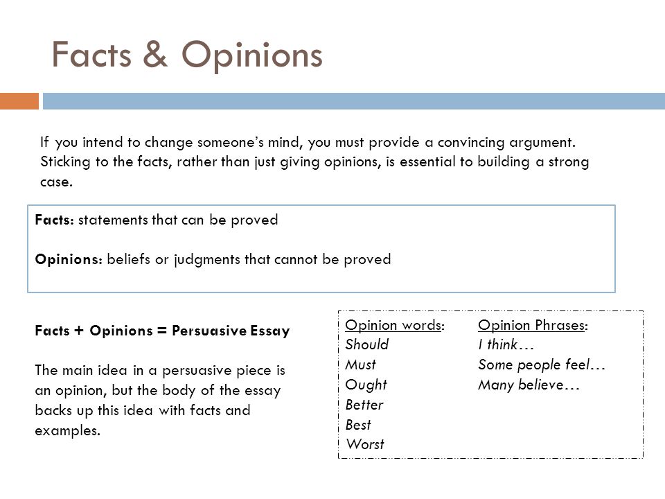 Sample Factual Essay