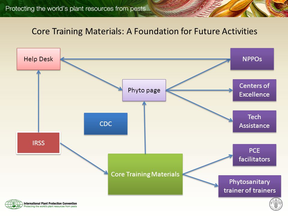 Core Training Materials Phyto page PCE facilitators Phytosanitary trainer of trainers IRSS CDC Help Desk Centers of Excellence NPPOs Tech Assistance Core Training Materials: A Foundation for Future Activities