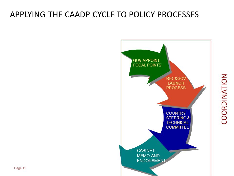 Page 11 GOV, ACTOTS, DPs IMPLEMENT AGREE ACTIONS ON OUTCOMES GOV APPOINT FOCAL POINTS REC&GOV LAUNCH PROCESS COUNTRY STEERING & TECHNICAL COMMITTEE CABINET MEMO AND ENDORSMENT APPLYING THE CAADP CYCLE TO POLICY PROCESSES