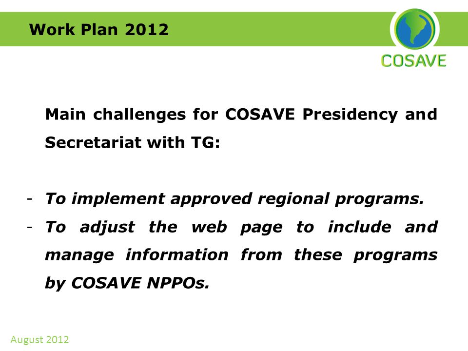 Work Plan 2012 Main challenges for COSAVE Presidency and Secretariat with TG: -To implement approved regional programs.