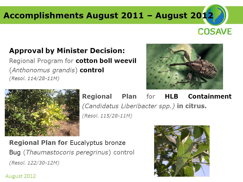 Approval by Minister Decision: Regional Program for cotton boll weevil (Anthonomus grandis) control (Resol.