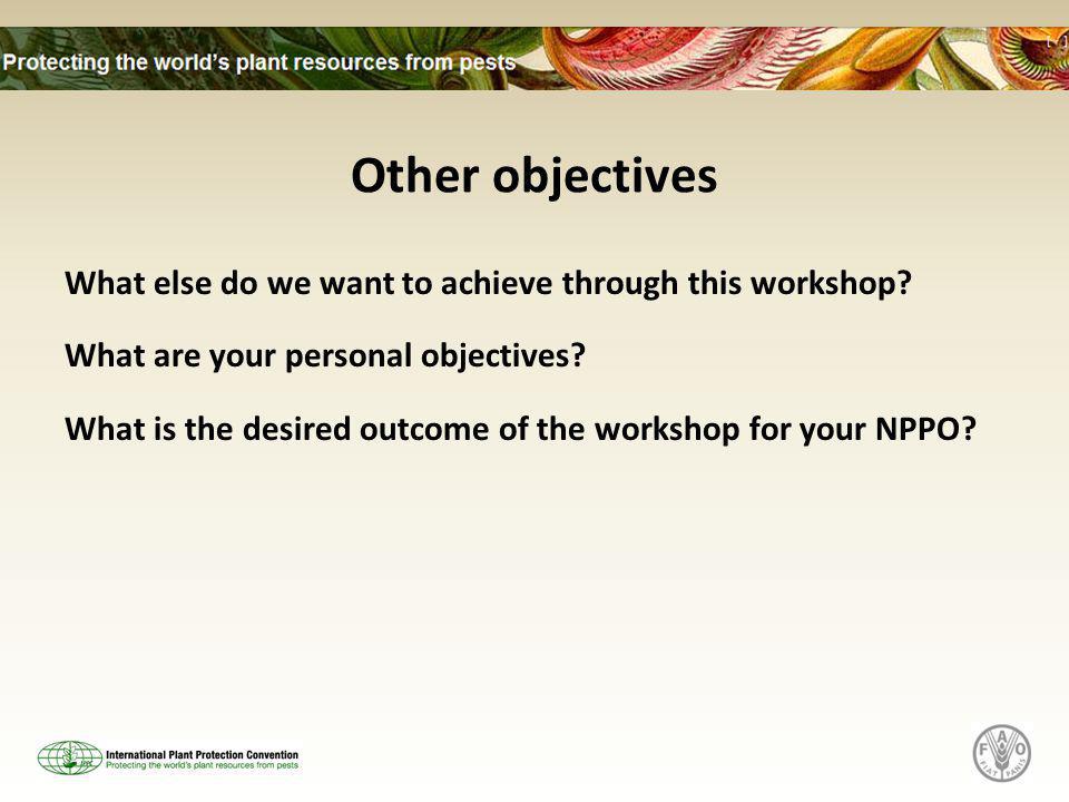 Other objectives What else do we want to achieve through this workshop.