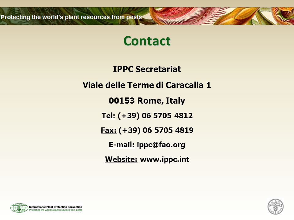 Contact IPPC Secretariat Viale delle Terme di Caracalla Rome, Italy Tel: (+39) Fax: (+39) Website: