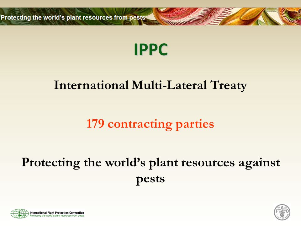 IPPC International Multi-Lateral Treaty 179 contracting parties Protecting the world’s plant resources against pests