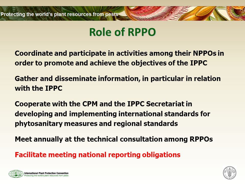 Role of RPPO Coordinate and participate in activities among their NPPOs in order to promote and achieve the objectives of the IPPC Gather and disseminate information, in particular in relation with the IPPC Cooperate with the CPM and the IPPC Secretariat in developing and implementing international standards for phytosanitary measures and regional standards Meet annually at the technical consultation among RPPOs Facilitate meeting national reporting obligations