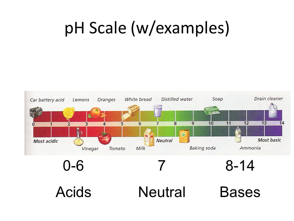 pH Scale (w/examples) 7 Neutral 0-6 Acids 8-14 Bases