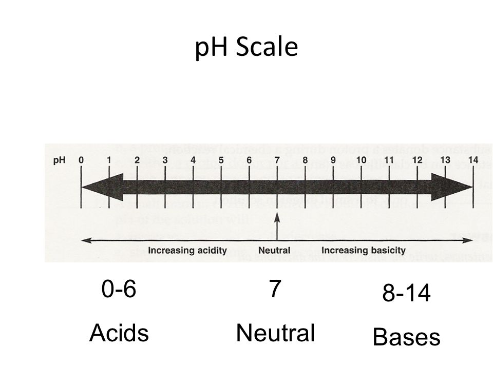 pH Scale 7 Neutral 0-6 Acids 8-14 Bases