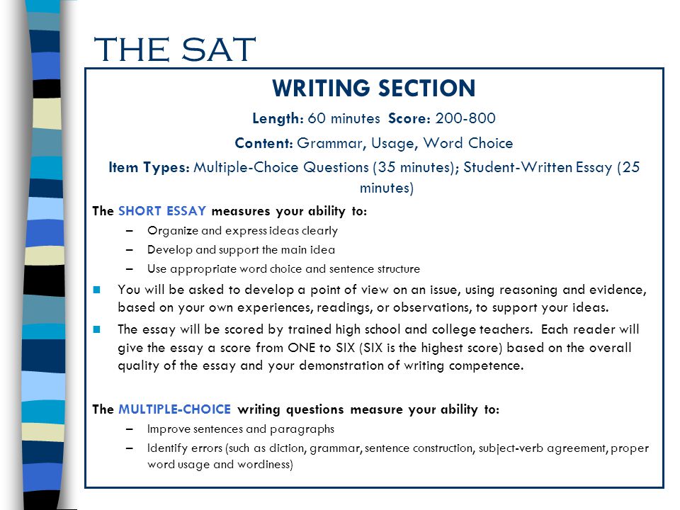 Essay Site
