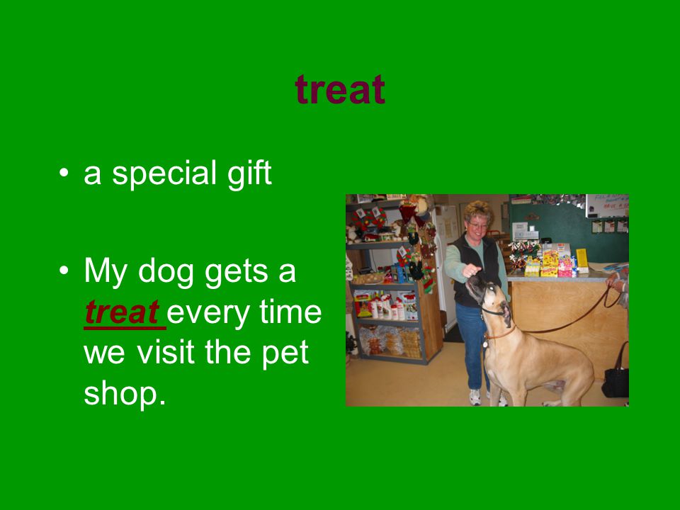 treat a special gift My dog gets a treat every time we visit the pet shop.