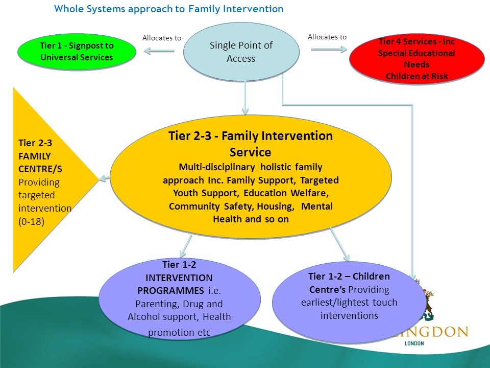 Whole Systems approach to Family Intervention Tier Family Intervention Service Multi-disciplinary holistic family approach Inc.