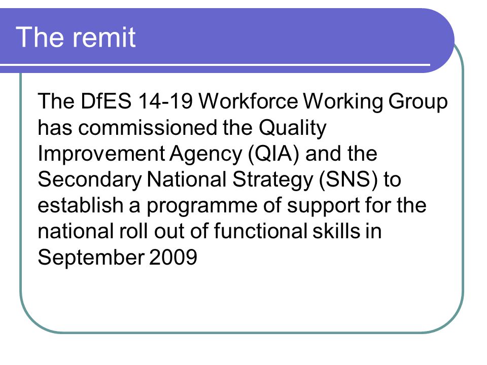The remit The DfES Workforce Working Group has commissioned the Quality Improvement Agency (QIA) and the Secondary National Strategy (SNS) to establish a programme of support for the national roll out of functional skills in September 2009