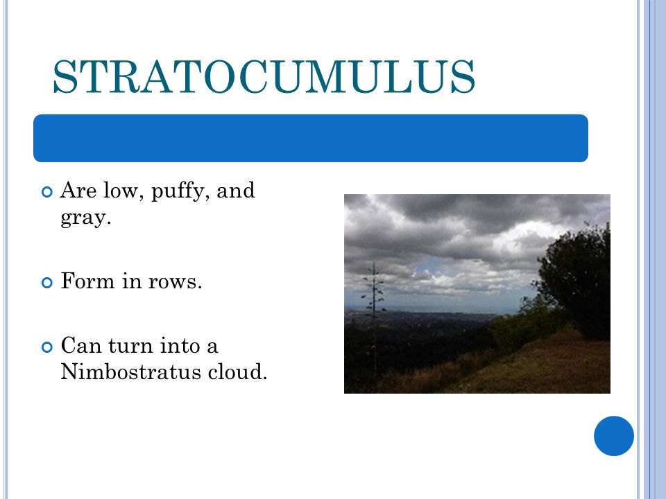 STRATOCUMULUS Are low, puffy, and gray. Form in rows. Can turn into a Nimbostratus cloud.