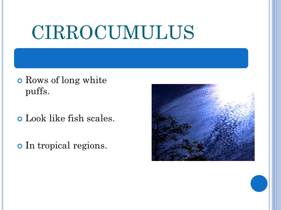 CIRROCUMULUS Rows of long white puffs. Look like fish scales. In tropical regions.