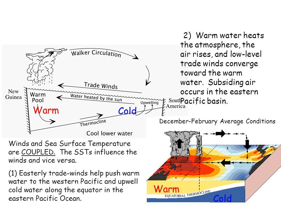 Warm Cold Warm Cold (2) Warm water heats the atmosphere, the air rises, and low-level trade winds converge toward the warm water.