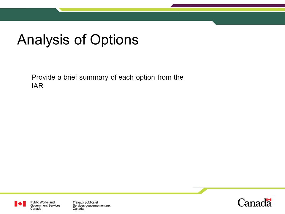 Analysis of Options Provide a brief summary of each option from the IAR.