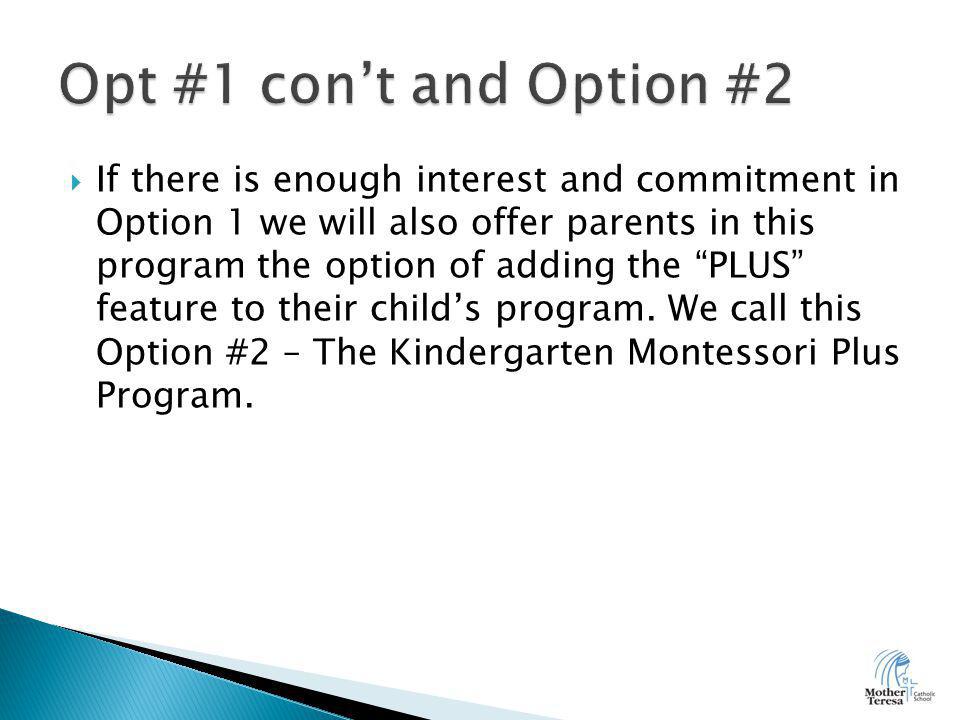  If there is enough interest and commitment in Option 1 we will also offer parents in this program the option of adding the PLUS feature to their child’s program.