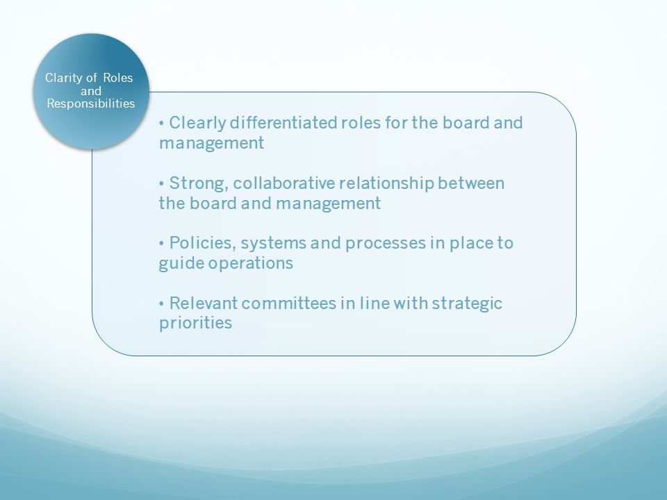 Clarity of Roles and Responsibilities Clearly differentiated roles for the board and management Strong, collaborative relationship between the board and management Policies, systems and processes in place to guide operations Relevant committees in line with strategic priorities