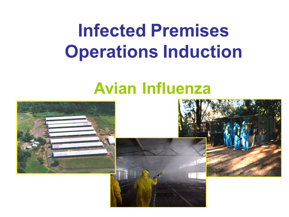 Infected Premises Operations Induction Avian Influenza