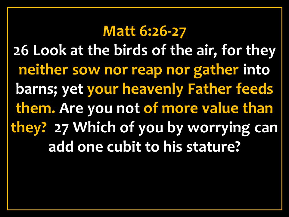 Matt 6: Look at the birds of the air, for they neither sow nor reap nor gather into barns; yet your heavenly Father feeds them.
