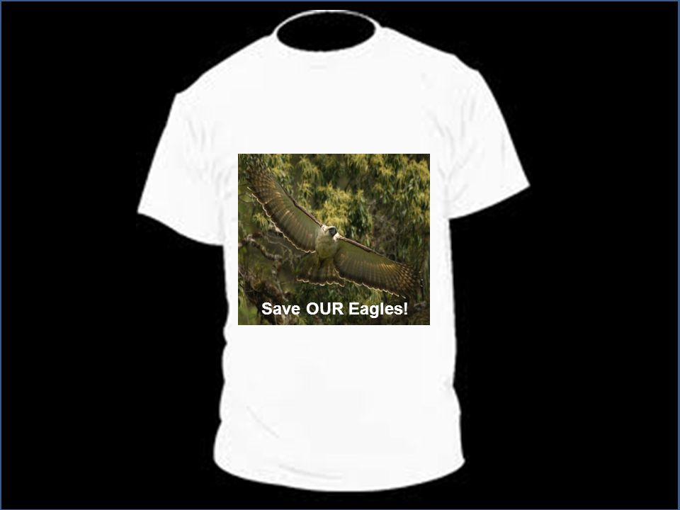 Save OUR Eagles!