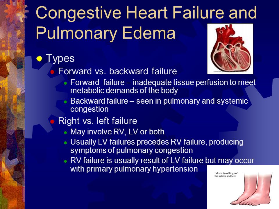 Nursing case study on congestive cardiac failure