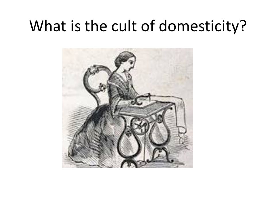 What is the cult of domesticity